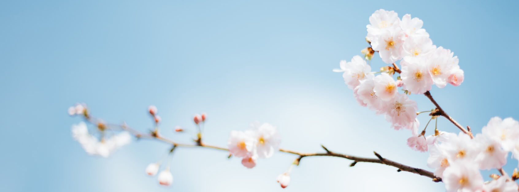 空调安装战术大师